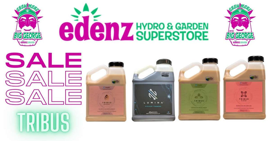 #EDENZ DEAL: Save Big on Tribus Nutrients by Shopping with BIG GEORGE!