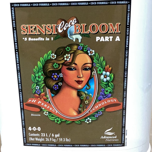 Sensi Bloom Coco A