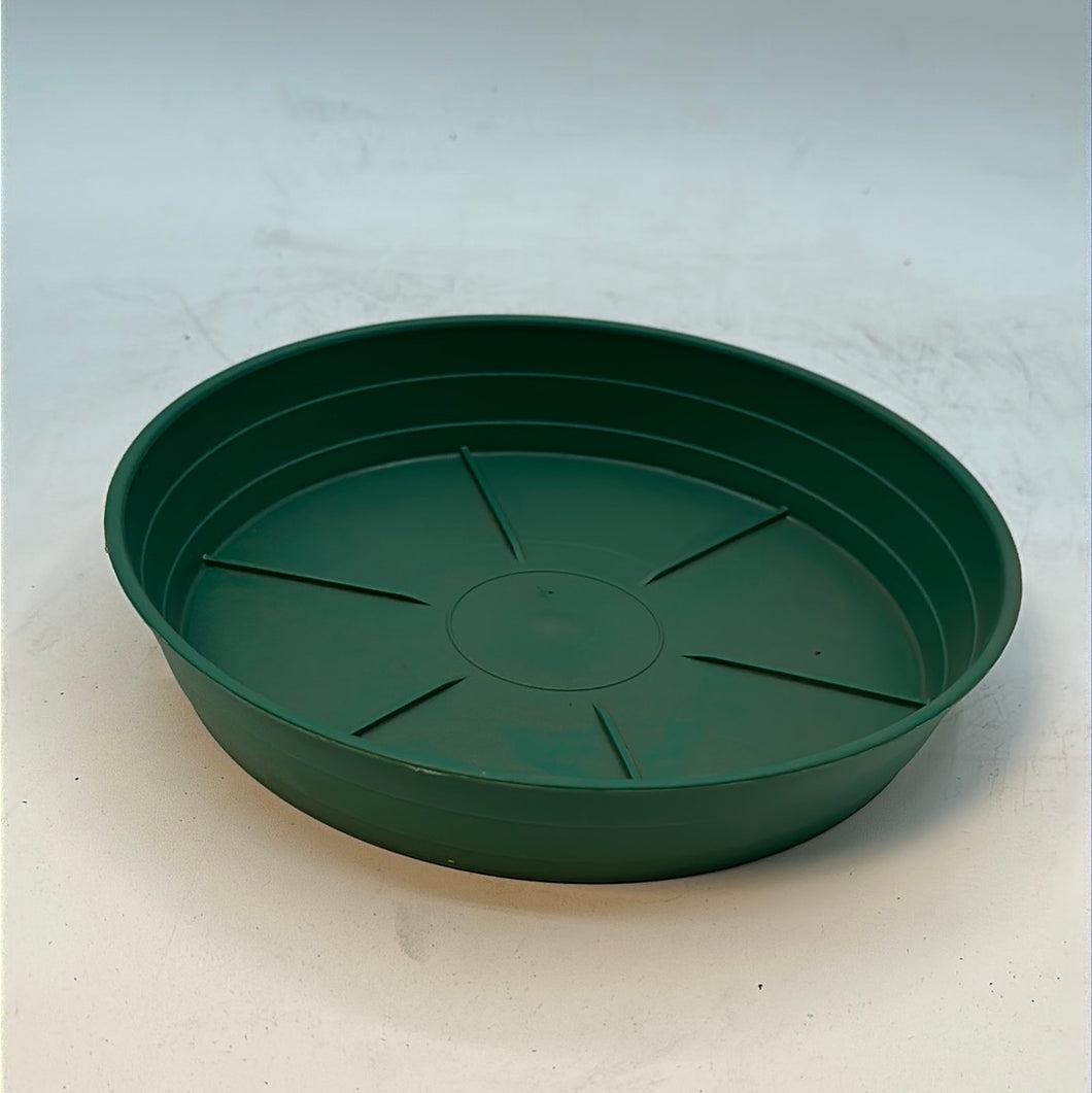 6” Green Premium Saucer