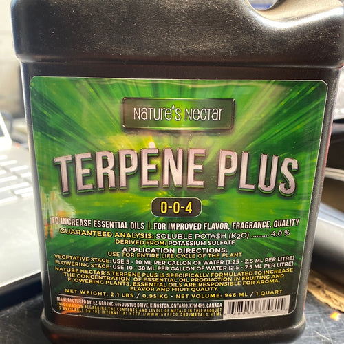 NN TERPENE PLUS QT